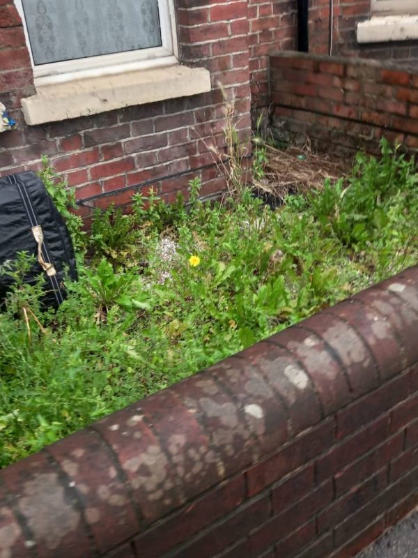 Gardening Services - Image 4