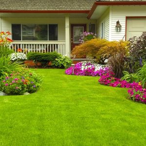 Gardening Services