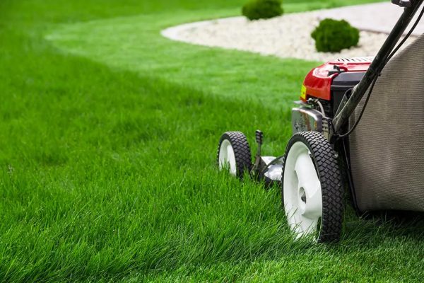 Gardening Services - Image 3